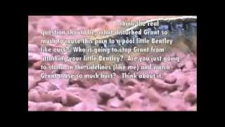 Freehold Boys Best Distance Runners