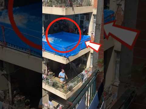 ESSE DOGUINHO TRANSFORMOU A PISCINA EM UM VERDADEIRO DESASTRE! 😂🐶💦