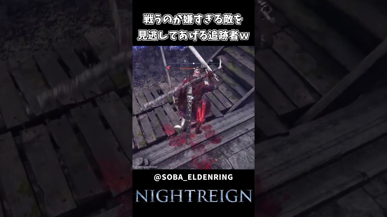 戦うのが嫌すぎる敵ｗｗ【ELDEN RING NIGHTREIGN】
