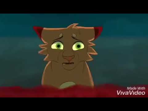 Firestar 's Life Warriors Map