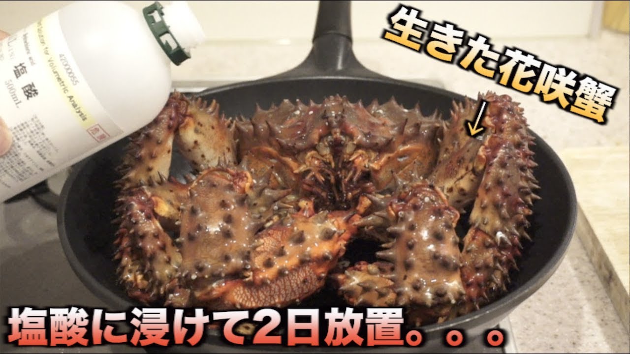 2日間ゴツいカニを塩酸に浸けっぱなしにした結果。。。