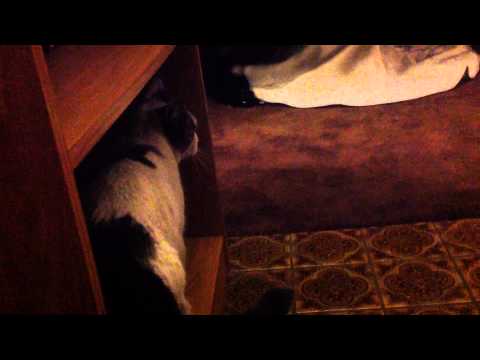 Carol Anne meets Wesley