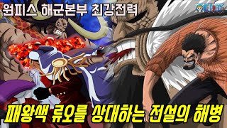[원피스]최강의 해적 패왕색 류오 각성자와 싸울 수 있는 전설의 해병 (해군영웅 거프/해군대장/아카이누)