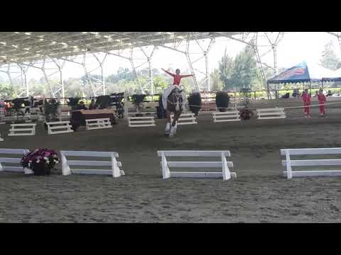 20180317 - CONCURSO NACIONAL DE VAULTING - CLUB CAMPESTRE LLANOGRANDE - Obligatorios D Reducida 2