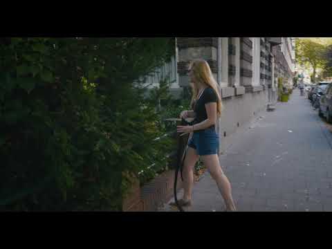 Duizel gaat Wild 2018