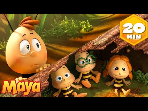 Willy affronte ses peurs 😰 🐝 Maya l’Abeille 🐝 Dessin animé pour enfants