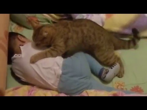 СМОТРЕТЬ ВСЕМ!!!!! БЕЗУМНО СМЕШНО!!! КОШКА УСПОКАИВАЕТ МАЛЫША