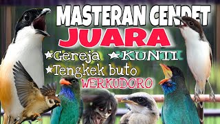 Download lagu MASTERAN CENDET JUARA NASIONAL FULL TEMBAKAN PANJANG KEKINIAN TERLENGKAP 2025 mp3