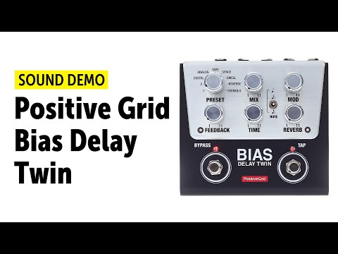 Positive Grid Bias Delay Twin image 2