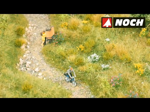 So geht's: Wilde Wiesen wachsen lassen!