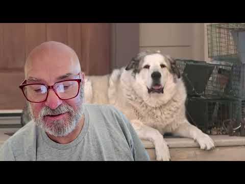 Meet BUFORD hero # 395 Positive NEWS