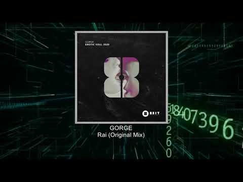 PREMIERE  Gorge - Rai (Original Mix) [8Bit]