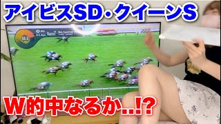 【アイビスSD•クイーンS 2024】ダブル的中なるか…!?