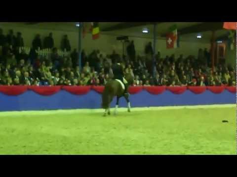 Floriscount and Christoph Koschel Vechta Nov 2012