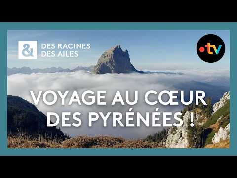 Voyage au cœur des Pyrénées : Entre nature, patrimoine et traditions ! - Des racines et des ailes