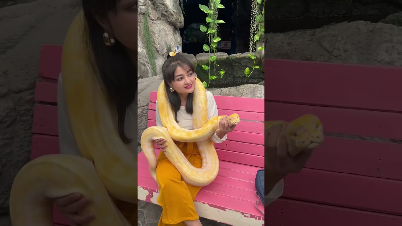 YouTube Short thumbnail