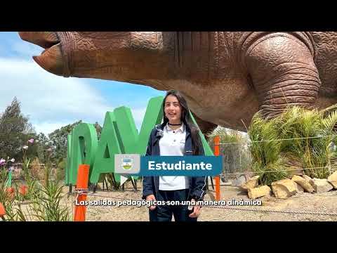 VIDEO OFICIAL SÁCHICA WORLD