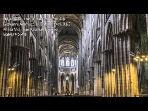 美しい聖歌Giovanni Animuccia（復活のいけにえ）：The Tudor Consort