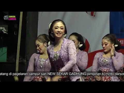 TAMAN JURUG - LUCKI NASWA YOOH DI GOYANG BOKONG E