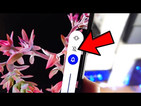 How To Put Google Pixel 6 / 6 Pro in Silent Mode! [& exit]