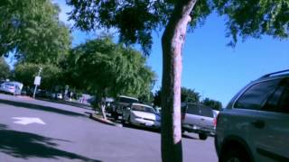 Dying car alarm makes a nice beat REMIX (ft. Danny Brown)