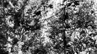 Globelamp - Time Warp