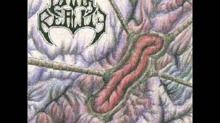 Dark reality- Umbra cineris- Umbra cineris