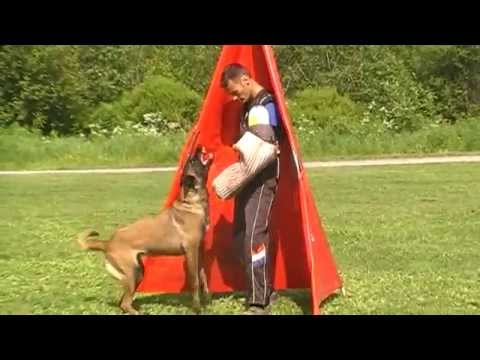 C-Lux av staalhjerte