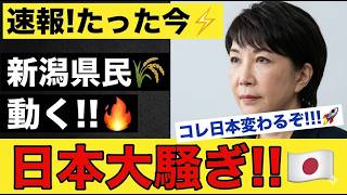 【激突の結末】参政党・吉川VS立憲・米山が国会で完全決着！家族制度崩壊の危機か…白熱論戦が浮き彫りにする日本の家族観【解説・見解】