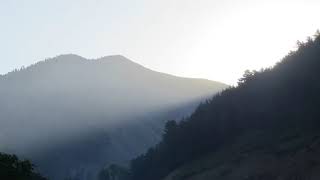 Contrary - Clifford T  Ward