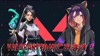 【VALORANT】のんびりアンレートやる【新人VTuber/龍光寺シンバ】