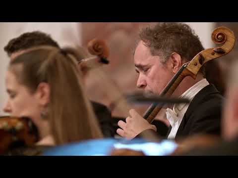 Johann Stamitz: Sinfonie D-Dur D3