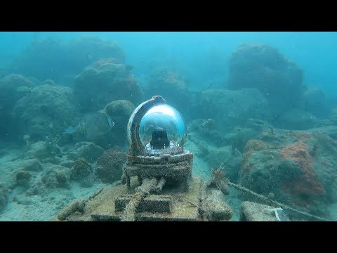 Coral City Survey | Rubble Zone & Stadium | 11.17.2022