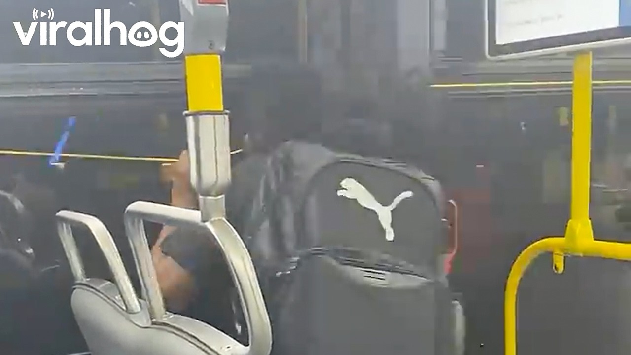A Hairy Situation on NYC Public Transit || ViralHog