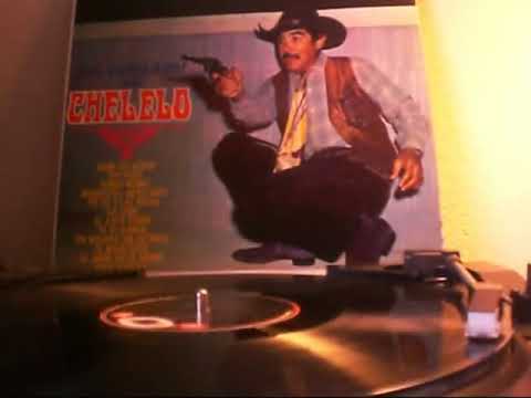 Chelelo - El Gato Viudo🐈