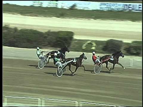 Trotto 14/07/2015 - 1° prova di riqualifica