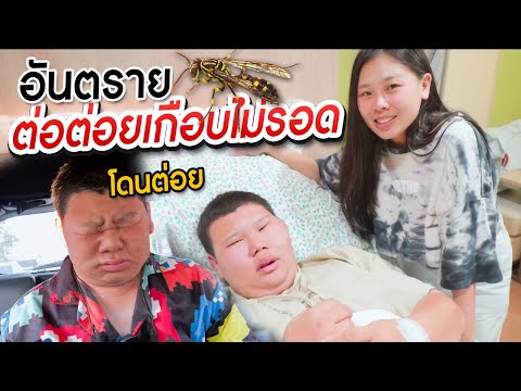 ฟีฟายแอดวาด