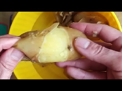 Come Sbucciare le Patate Lesse il Metodo Veloce. Facile Togliere e Pulire le Patate dalla buccia