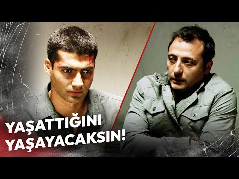 Ömer VS Cengiz | Sorgu Sahnesi