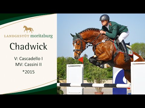 CHADWICK v. Cascadello I - Cassini II