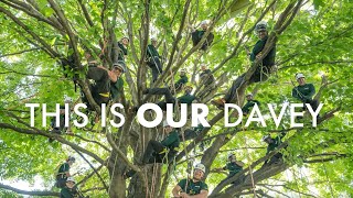 It Makes Us Stand Out