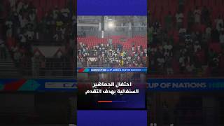 احتفال الجماهير السنغالية بهدف التقدم في شباك المغرب thumbnail