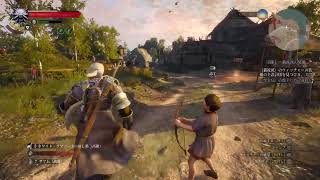 ウィッチャー3 2週目 デスマーチ #2 体力激上げ錬金ビルドでサイドもメインも進めよう The Witcher 3 WILD HUNT