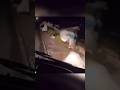 HANTUNYA HAMPIR GEPENG Viral Shorts Jin Ghost Hororkomedi Hantunyata Hantu Trending