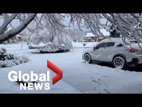 Snow covers Oklahoma, Texas in the first days of 2021