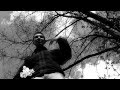 Финз - Приглашение на ТБИЛИ в Полтаве 11/05/13 (Official Video) 