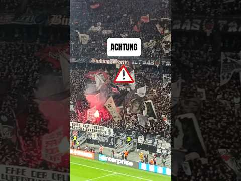 Eintracht Frankfurt feiert nach Sieg gegen Amsterdam #ultras #bundesliga #fussball