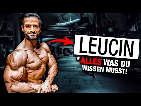 Optimal muscle building through MAXIMUM protein synthesis!