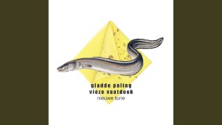Cover art for nieuwe tune