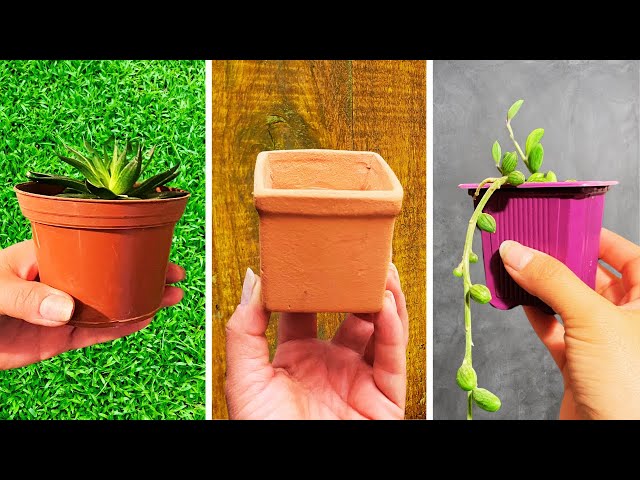 Vídeo relacionado con SCBOY Maceta con Smiley Maceta para suculentas Macetas Decorativas para Interiores con Agujeros de Drenaje Regalos Divertidos y creativos para el hogar y el jardín